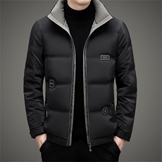 BAMJ-8913钱塘2020-2中年男士冬季厚款商务休闲简约羽绒服P225，男装羽绒服，钱塘207-2