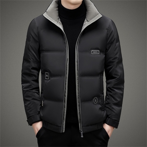 BAMJ-8913钱塘2020-2中年男士冬季厚款商务休闲简约羽绒服P225图片