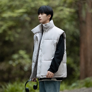 立领冬季棉马甲男加厚潮流外套棉背心青少年宽松A266-WMJ8633-P45图片