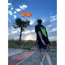 美式植绒葡萄短袖男款夏季高街痞帅cleanfit半袖宽松休闲T恤内搭，男装T恤，星座313A(原308A-2)