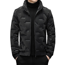 AK15815钱塘2020-3时尚休闲简约冬季厚款中年男士羽绒服P140，男装羽绒服，钱塘207-3