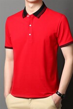 POLO衫男上衣半袖男装衣服男士体恤衫T恤潮牌休闲翻领爸爸短袖男,男装T恤,电商B212（原钱塘6029）