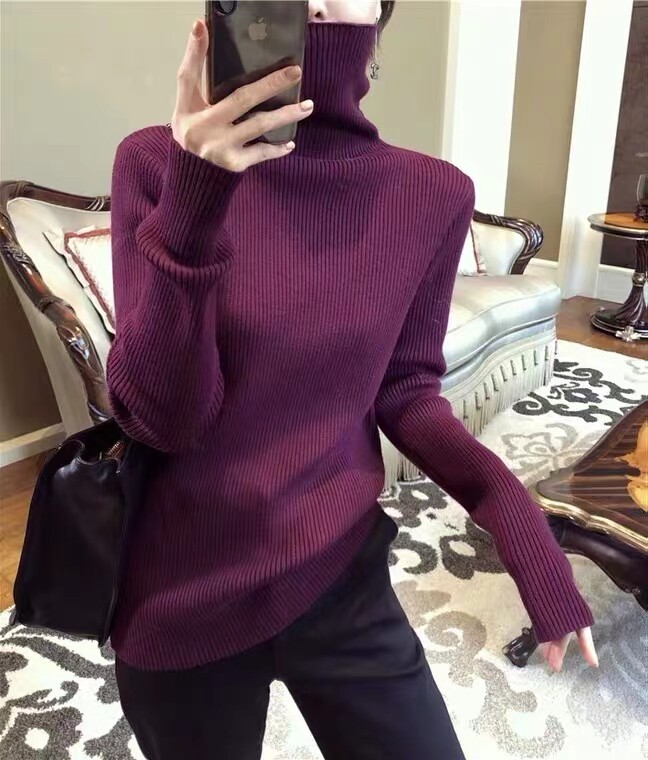 时尚高领羊毛衫女秋冬季新款修身显瘦百搭气质长袖针织打底衫图片