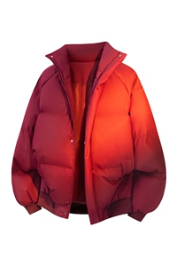 立体新款冬季羽绒立领PU皮棉服棉袄韩版宽松外套A436-2522-P80图片