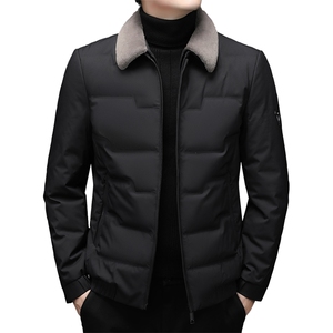 2023新款冬装羽绒服中青年男士休闲保暖翻领连帽外套AJYD615-P250图片
