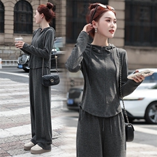 春装深灰色慵懒风休闲运动服套装女2025新款超火卫衣阔腿裤两件套，女装套装/套裙，琦鑫阁（原依鑫阁）