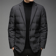 2023冬季新款羽绒服男保暖外套90白鸭绒纯色休闲立领DS9908-P250，男装羽绒服，电商B212（原钱塘6029）
