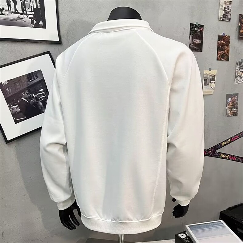 卫衣男春秋季2025新款宽松潮牌翻领衣服男款纯色百搭秋装运动上衣,男装卫衣,星座506A