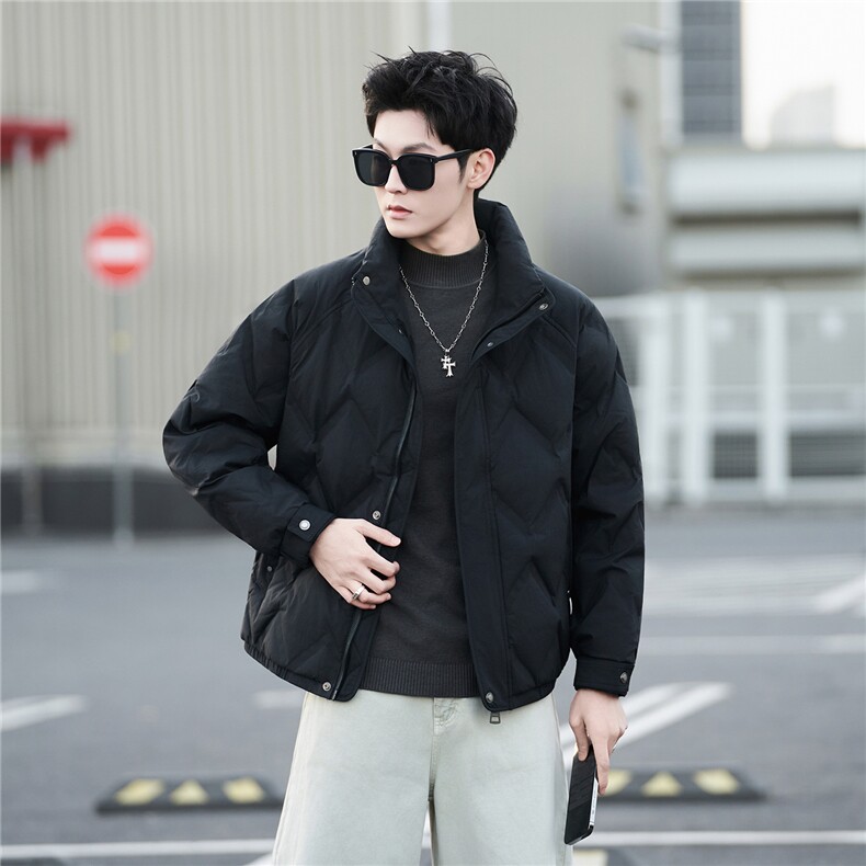 标50绒男士立领短款羽绒服休闲保暖外套B338-88159-P225，男装羽绒服，电商B338