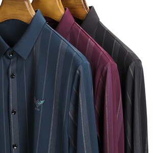 长袖衬衫男中年商务休闲春秋季新款男士条纹衬衣男2023年新款图片