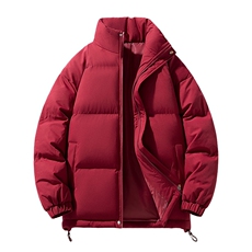 中性风秋冬新款棉衣外套纯色立领面包服保暖加厚A436-1266-P60，男装棉衣，电商A436