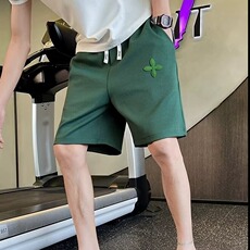 高级感短裤男休闲宽松男裤夏季薄款中裤子条纹五分男裤外穿大裤衩，男装休闲裤，电商B212（原钱塘6029）