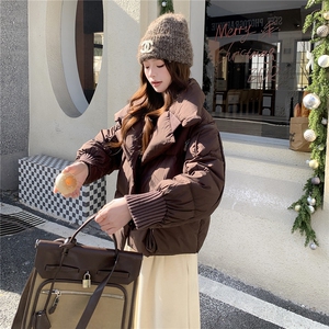 衣秀之家2319款短款大翻领加厚时尚羽绒服冬季保暖外套女图片
