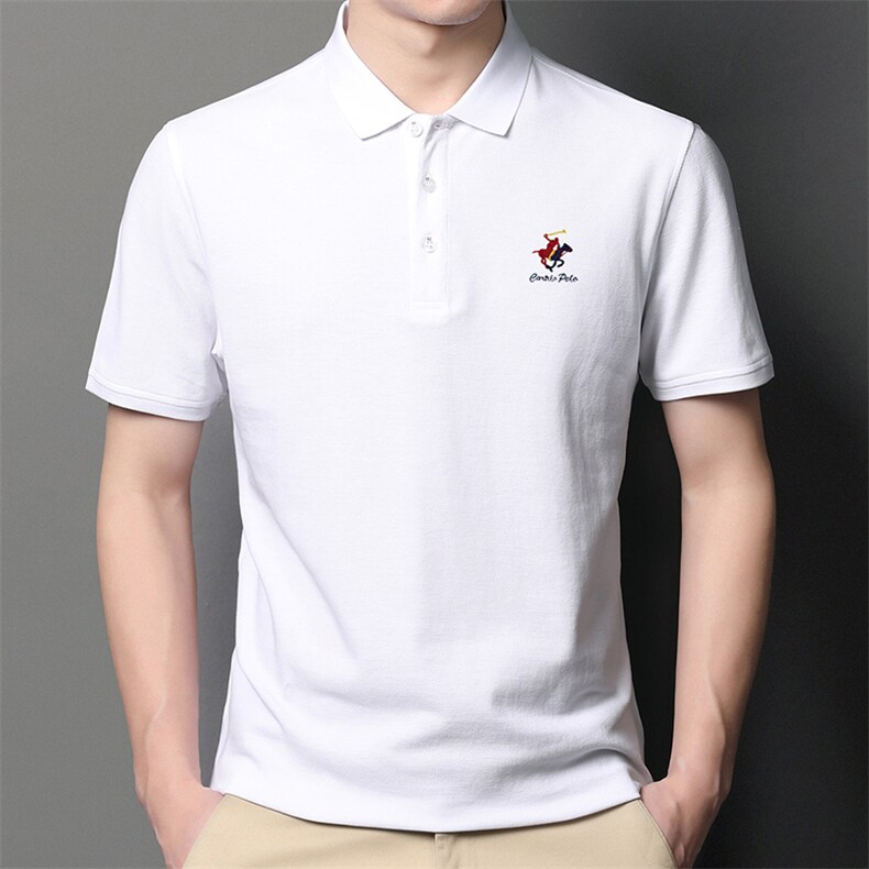 短袖体恤衫男装夏季新品男士商务休闲中年polo衫时尚潮流百搭上衣,男装T恤,电商B212（原钱塘6029）