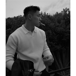 网图大货翻领毛衣老钱风套头针织衫秋季外套冬装打底衫S531-特58