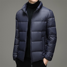 男士立领羽绒服冬季休闲加厚衣服保暖爸爸装中年商务白鸭绒外套，男装羽绒服，电商B212（原钱塘6029）