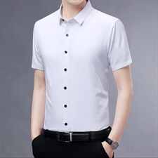 精品中年男装纯色衬衫短袖2023新款夏季商务休闲衬衣免烫半袖男装，男装衬衫，电商B212（原钱塘6029）