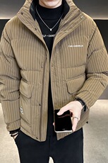 冬季新款立领皮羽绒服男短款外衣保暖羽绒外套Y6803-P195，男装羽绒服，电商A239