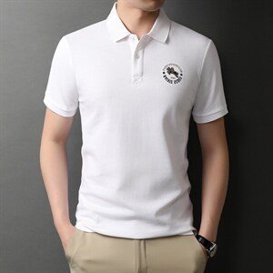 夏季新款男士翻领短袖t恤中年有领男装上衣服休闲POLO衫,男装T恤,电商B212（原钱塘6029）