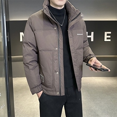 店主风2025年新款时尚立领潮流保暖羽绒服男A236-G50-P200，男装羽绒服，电商A236