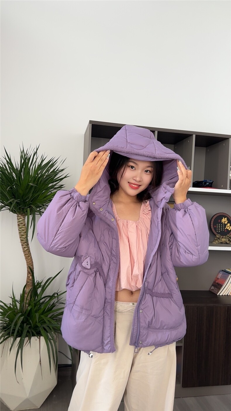 2025年秋季休闲风保暖厚款连帽羽绒服图片