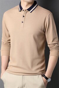 中青年t恤2023新款上衣秋季翻领纯色长袖内搭打底男装DS8276-P70，男装T恤，电商B212（原钱塘6029）