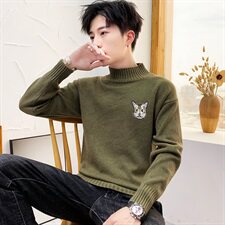 秋冬高领毛衣男套头外套男打底针织衫男士毛衫高领小猫M228，男装针织衫/毛衣，星座1207