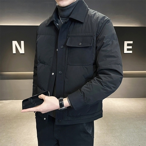 有报告 新标90白鸭绒冬季2025新款羽绒服男A313-8387-P225图片
