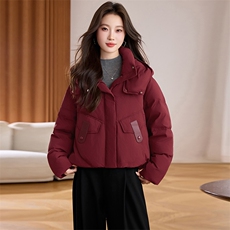 2025冬季新款简约时尚连帽羽绒服，女装羽绒服，阿丹