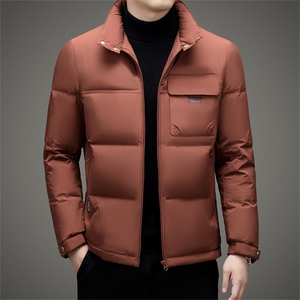BAMJ-8960钱塘2020-2中青年男士时尚休闲翻领冬季厚款羽绒服P275图片
