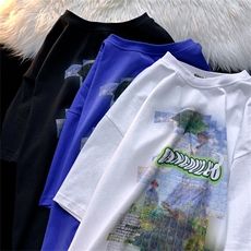 T恤潮流圆领男港风印花2024新款百搭休闲时尚DS-B299-5112P45控69，男装T恤，电商A061-1