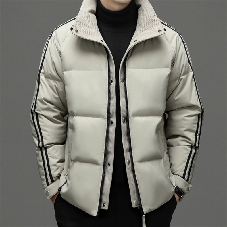 羽绒服2023年新款男冬季加厚保暖外套中青年立领宽松免烫男装上衣，男装羽绒服，电商B212（原钱塘6029）