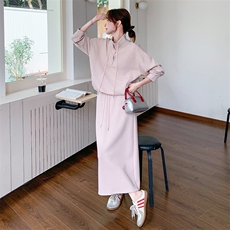 浅粉色休闲立领卫衣两件套装2025新款女春季韩版气质半身裙一整套，女装套装/套裙，2C051