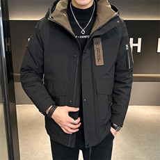 2025男冬季潮流时尚痞帅百搭休闲连帽工装保暖羽绒服YR8086-P220，男装羽绒服，电商A413