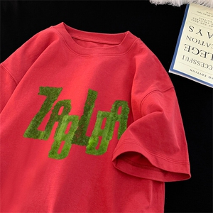 240g美式重磅短袖T恤 FSDX251 M-5XL 特批25无差价控48图片