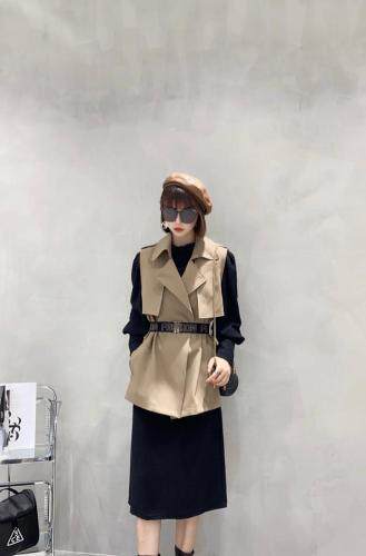 （现货）秋季连衣裙+马甲，女装连衣裙，安比希妮