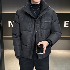 冬季羽绒服男2025新款立领加厚保暖轻薄款外套C317-Y9903-P195，男装羽绒服，电商C317
