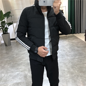 1506-1/M三杆棉衣1/P64三条杆男修身短款少年立领棉服青少年休闲图片