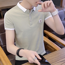 款8701-P35男士短袖t恤夏装2021新款纯棉翻领polo衫体桖，男装T恤，电商D310（原电商305）