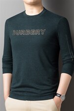 2023春秋季薄款男士卫衣中年圆领印花长袖男装休闲宽松上衣打底衫，男装卫衣，电商B212（原钱塘6029）