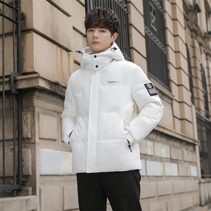 2025冬季新款90白鸭绒连帽休闲羽绒服男外套 备货充足 R9021-P150图片