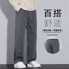 2025新款秋天裤子男款简约直筒裤潮帅气休闲裤长裤百搭K6661-P50，男装休闲裤，星座610（原A335）