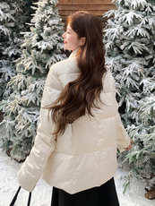 短款立领拼接袖简中式一手长加厚羽绒服女宽松保暖外套，女装羽绒服，衣秀之家