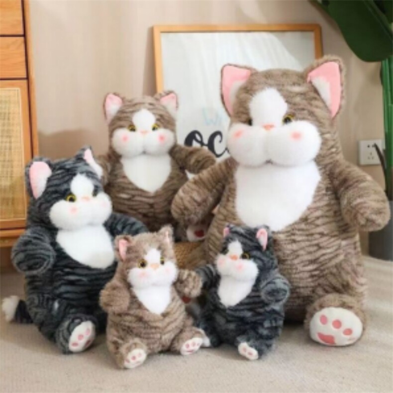 波波猫，豫东毛绒玩具网供