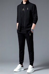 中年运动套装男春秋季休闲运动服男士外套卫衣爸爸秋装套装两件套图片