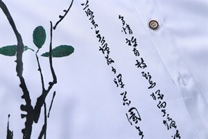 2021大码印花中国风衬衫男夏秋新款青年长袖衬衫 QT5030/7601p50图片