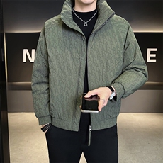 标90白鸭绒数据款男士羽绒服B240-YR931-P225-控立减券后288，男装羽绒服，电商B240