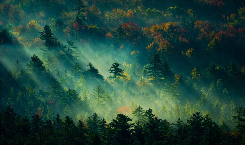 【现货】25年新款中长款风衣浙宝B252-2508-P150-K238，女装风衣，浙宝252