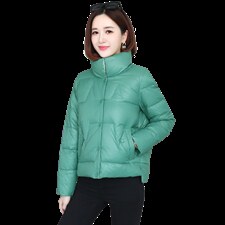羽绒棉服女短款时尚亮面棉衣冬新款小个子立领百搭轻薄小棉袄外套，女装棉衣/棉服，婷思杰（原婷想服饰）