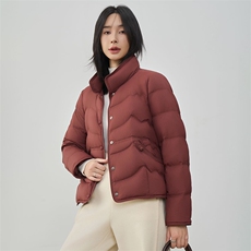 现货2025年冬季新款90白鸭绒盘扣轻薄短款羽绒服女，女装羽绒服，阳光伊恋
